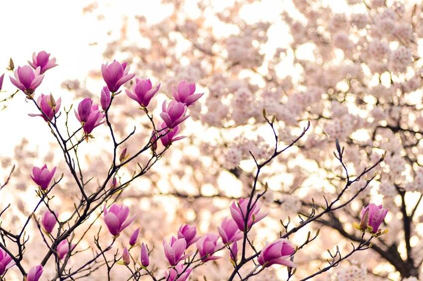 教师节幼儿园老师祝福语(幼儿园新学期教师节祝福语)