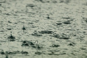 下雨天了怎么办我好想你(下雨天更容易想起某个人)