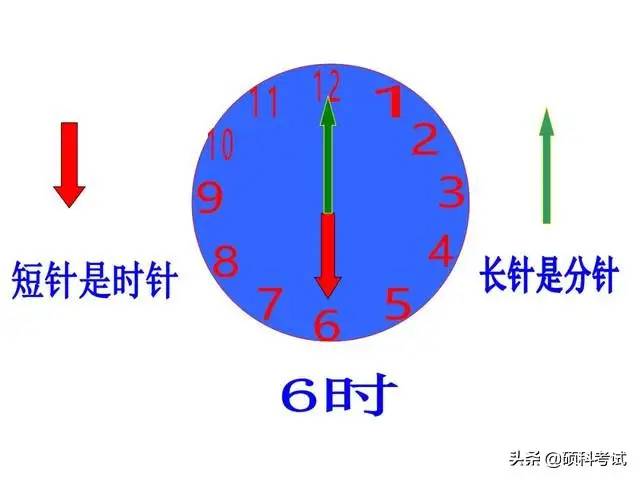 一年级数学上册《认识钟表》专项复习，带孩子一起来学习吧！