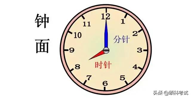 一年级数学上册《认识钟表》专项复习，带孩子一起来学习吧！