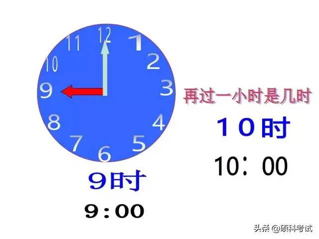 一年级数学上册《认识钟表》专项复习，带孩子一起来学习吧！