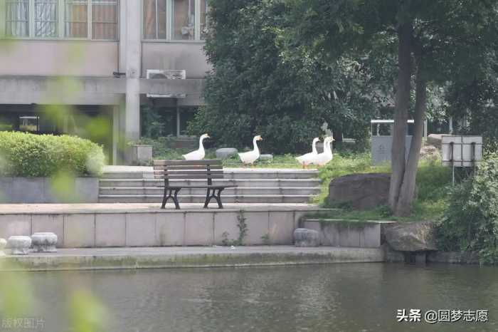 二本大学100强名单（按投档分数线统计）