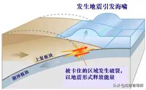 应急科普丨认识海啸，掌握自救方法